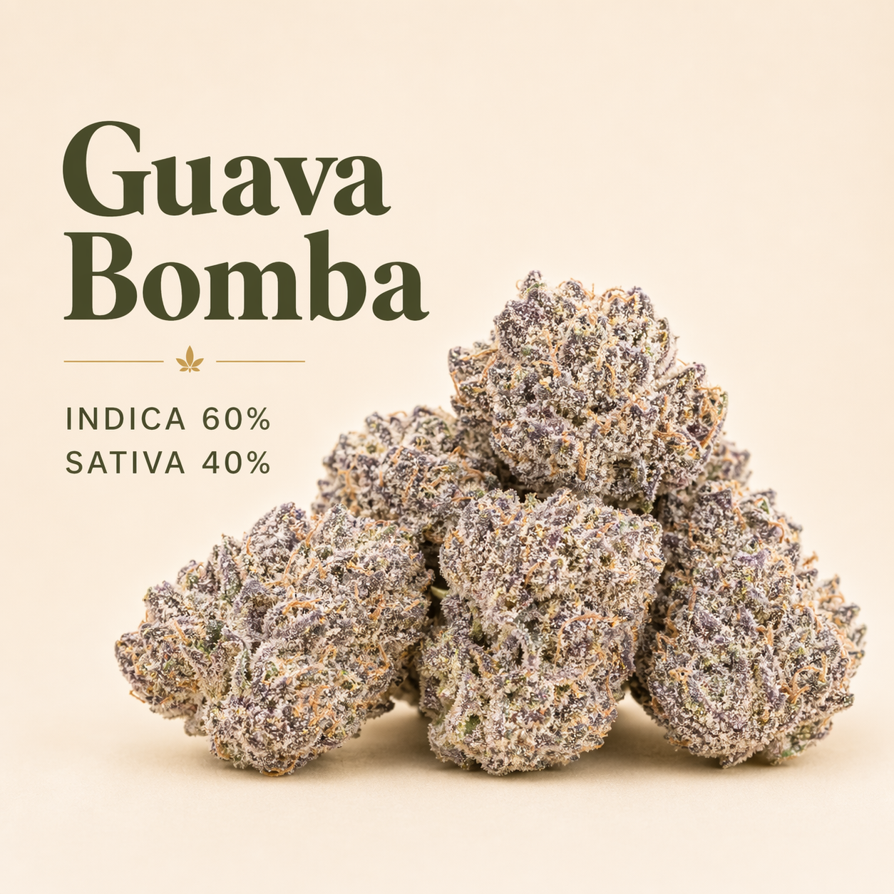 Guava Bomba